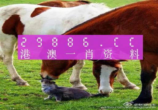 新奧門一肖一碼，揭秘精準(zhǔn)預(yù)測的秘密，揭秘新澳門一肖一碼精準(zhǔn)預(yù)測的秘密
