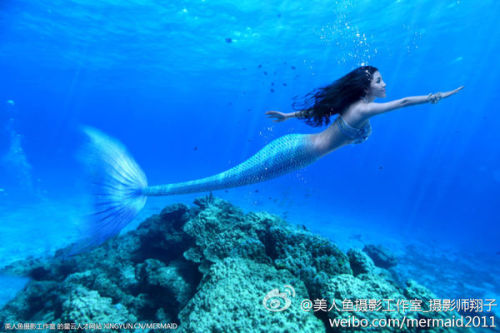 澳門美人魚最快開獎結(jié)果圖——揭秘熱門彩票游戲背后的秘密，澳門美人魚彩票開獎揭秘，最新結(jié)果圖與游戲背后秘密探索