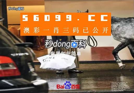 新澳一碼三中三資料，探索與解析，新澳一碼三中三資料解析與探索