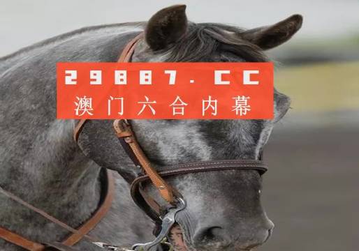 澳門一一碼一特一中準(zhǔn)選今晚，探索真實(shí)有效的選擇與策略，澳門今晚一特一中準(zhǔn)選碼，真實(shí)有效的選擇與策略探索