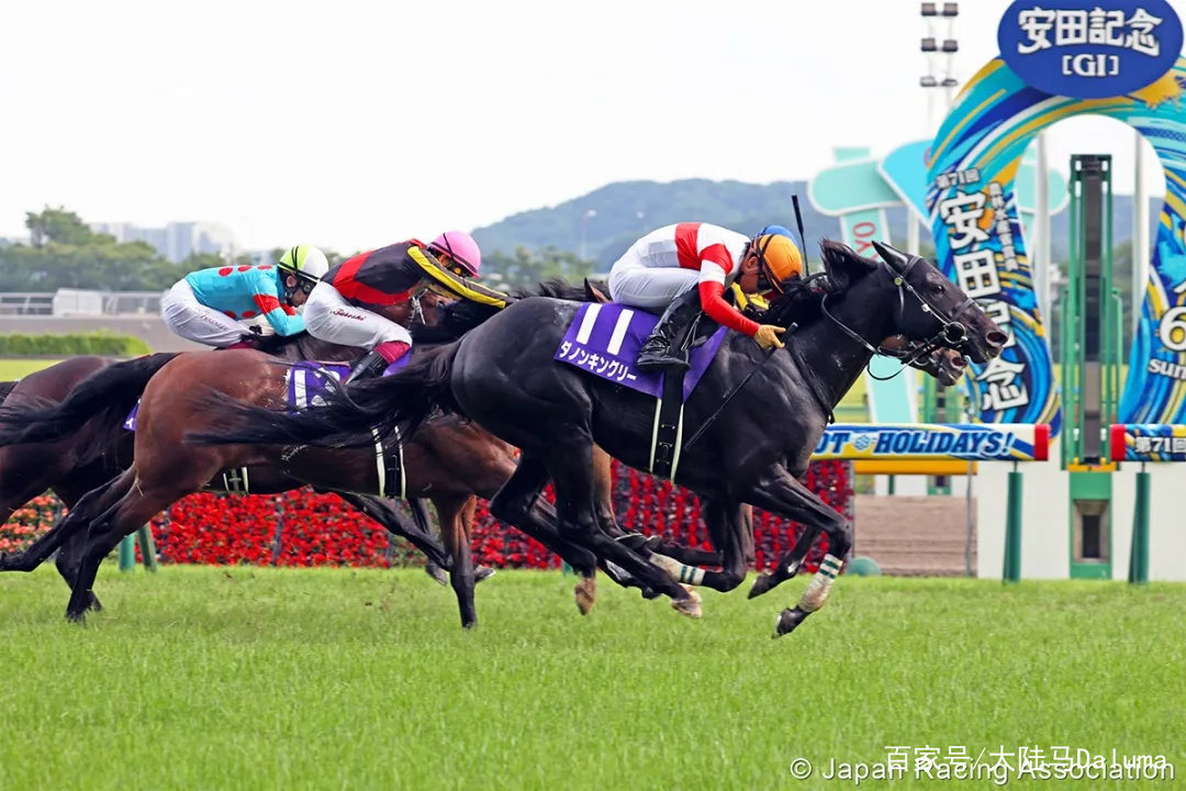 香港王中王與一馬中特肖的獨(dú)特魅力，深度解析與探索，香港王中王與一馬中特肖的獨(dú)特魅力，深度探索與解析