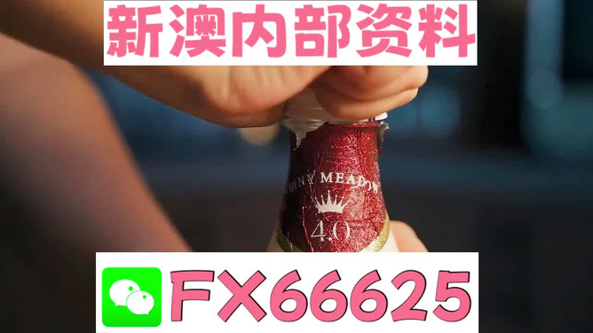 新澳門一碼一碼，揭秘精準預測的秘密與真相，揭秘澳門一碼一碼精準預測的秘密與真相