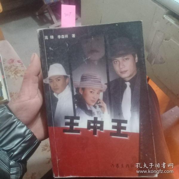 王中王資料一肖中天，深度解析與探索，王中王資料一肖中天，深度剖析與探索