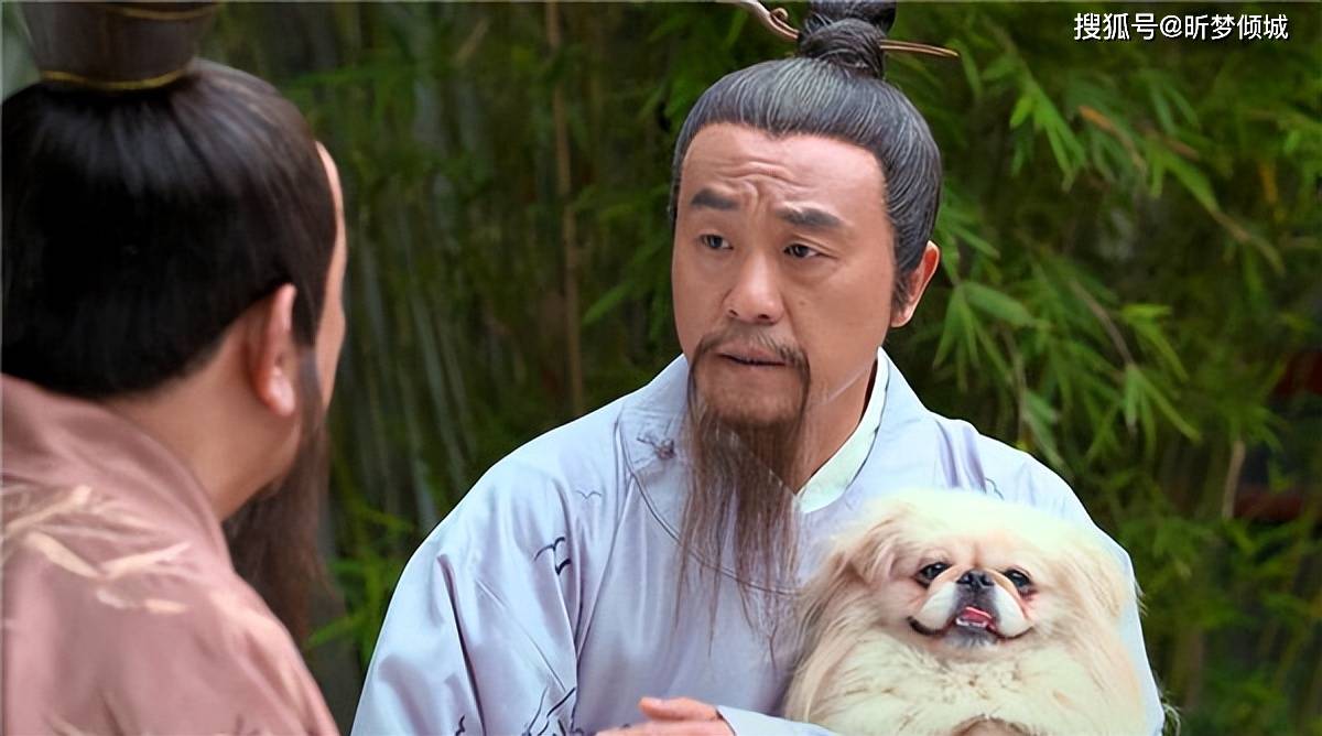 揭秘劉伯溫四不象一肖的神秘面紗——探尋背后的傳奇故事，揭秘劉伯溫四不象一肖背后的傳奇故事，神秘面紗下的神秘傳說