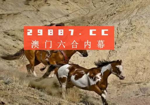 澳門(mén)一肖一碼一待一中四不像——揭秘與探索，澳門(mén)神秘一肖一碼，揭秘與探索一待一中四不像的秘密