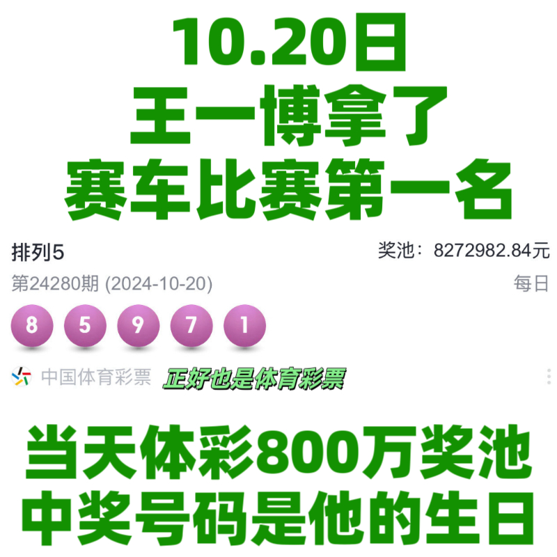 王中王一肖資料中特馬——深度解析與SEO洞察，王中王一肖特馬深度解析與SEO洞察揭秘
