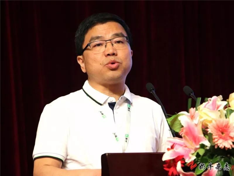 王中王一平特肖，揭秘第100期的秘密與策略，揭秘第100期秘密與策略，王中王一平特肖獨(dú)家解析