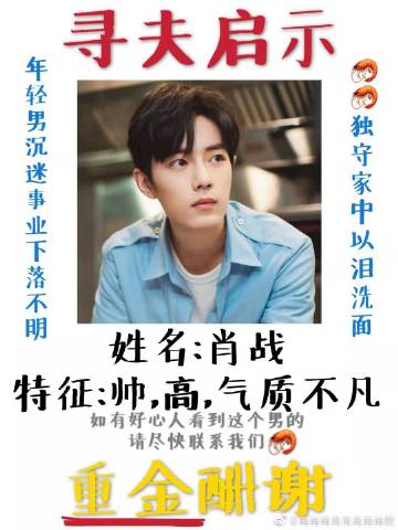 一肖一碼一一肖一子善，探尋命運密碼與智慧之光的完美結(jié)合，命運密碼與智慧之光，一肖一碼一一肖一子善的探尋
