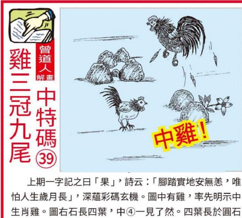 澳門2025全年資料大全正版資料權威指南，澳門2025全年正版權威指南，全面資料大全與權威解讀