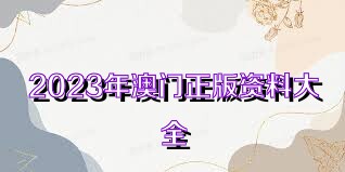 澳門資料大全正版資料查詢，探索澳門的文化與歷史深度之旅，澳門文化與歷史深度探索，正版資料大全及查詢指南