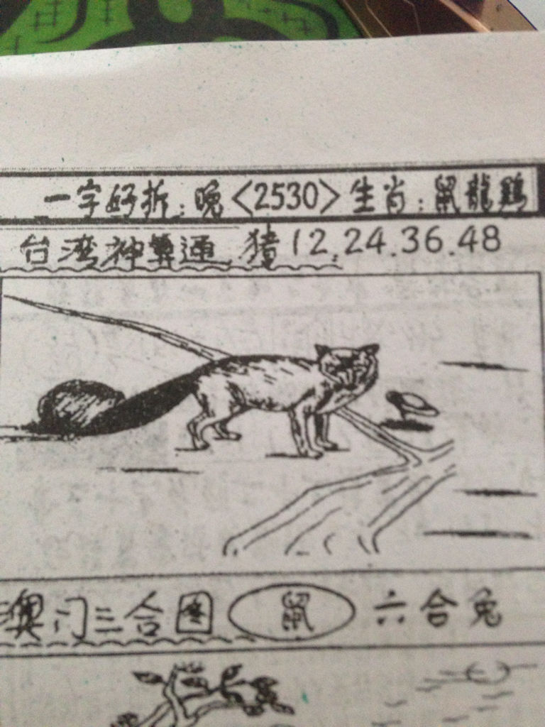 揭秘生肖奧秘，看圖猜一生肖劉伯溫的傳奇故事，揭秘生肖奧秘，劉伯溫傳奇故事中的生肖之謎探索