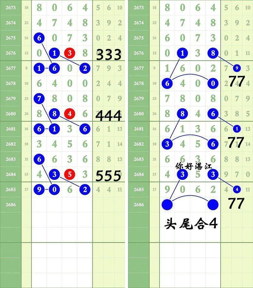 一肖三碼王中王絕密，揭秘背后的秘密與策略洞察，揭秘一肖三碼王中王絕密策略與背后秘密