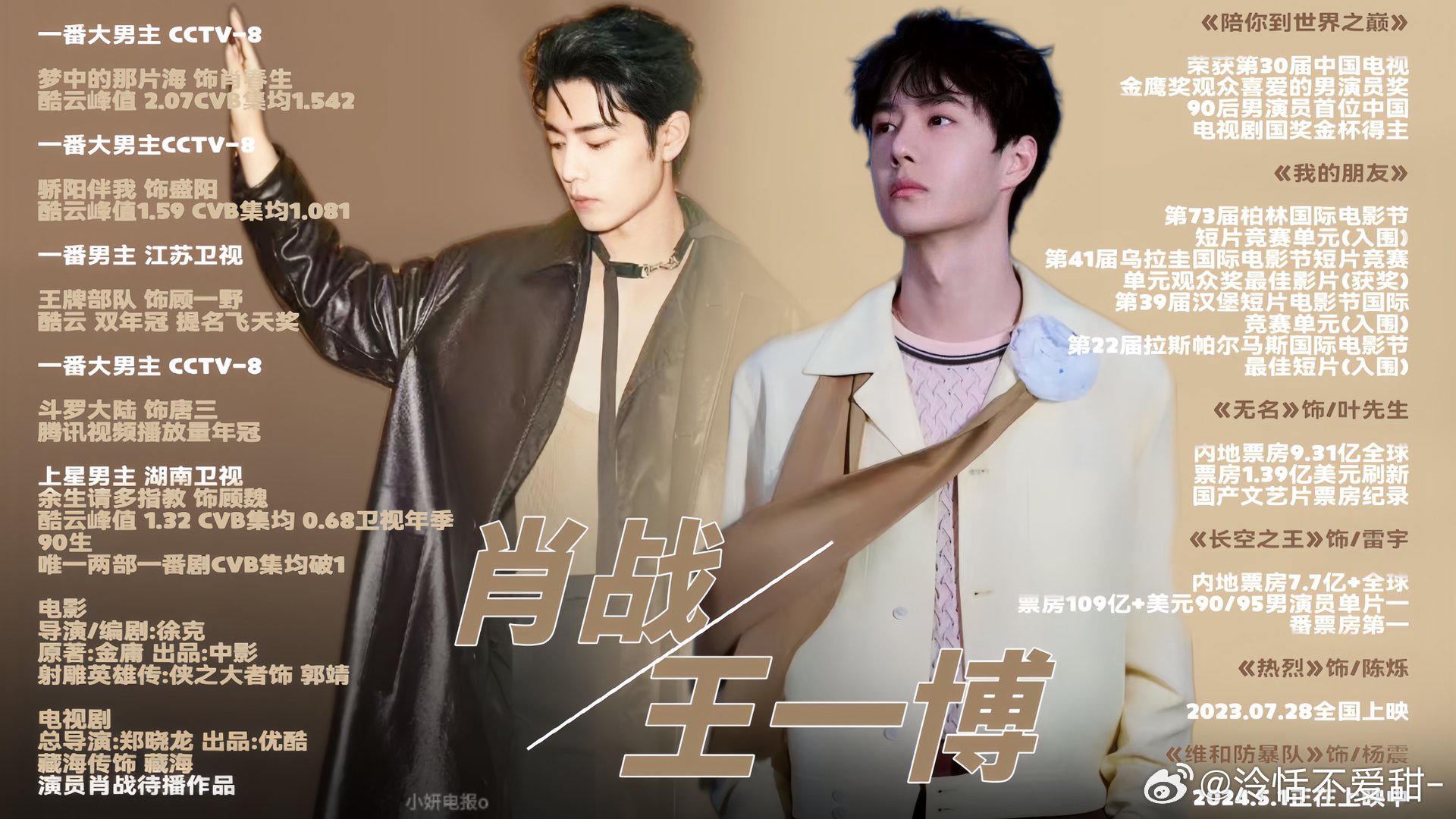 王中王一肖中特全年資料解析與SEO優(yōu)化策略，王中王一肖中特全年資料解析與SEO策略詳解