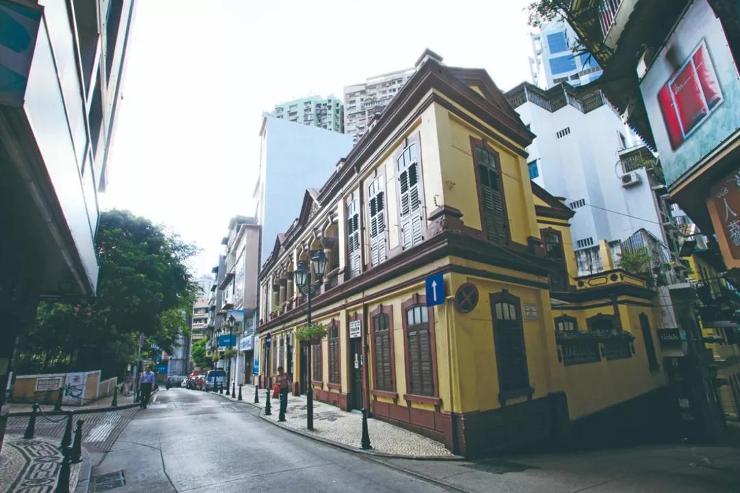 澳門今晚必開一肖，揭秘生肖運勢與預(yù)測邏輯，澳門今晚生肖預(yù)測揭秘，生肖運勢與預(yù)測邏輯分析