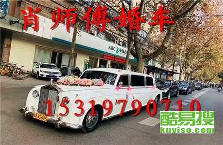 王中王車奪平特一肖免費(fèi)——深度解析與探索，王中王車奪平特一肖，深度解析與免費(fèi)探索