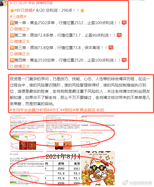 香港王中王一肖最準——揭秘精準預測的秘密，揭秘香港王中王一肖精準預測的秘密之道