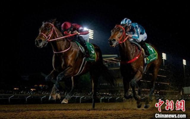 香港王中王一肖中特馬，探索背后的奧秘，香港王中王一肖中特馬背后的奧秘探索