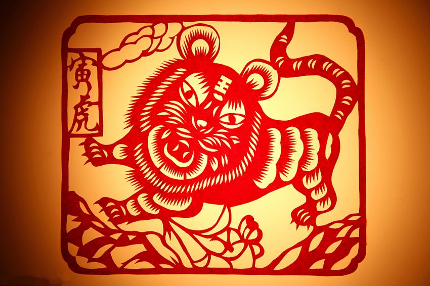 當頭捧喝王中王，揭秘生肖奧秘，揭秘生肖奧秘，王中王的當頭捧喝