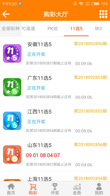 王中王論壇一平特一肖，深度解析與SEO策略，王中王論壇一平特一肖深度解析與SEO策略探討
