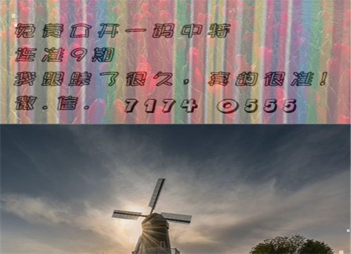 王中王四肖三期必出一期，揭秘彩票背后的秘密策略與技巧，揭秘彩票策略與技巧，王中王四肖三期必出一期之道