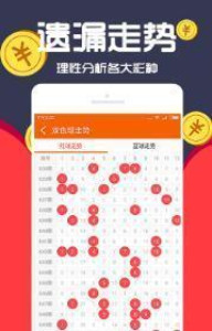 王中王一肖十，深度解析與SEO優(yōu)化策略，王中王一肖十深度解析與SEO優(yōu)化策略探討