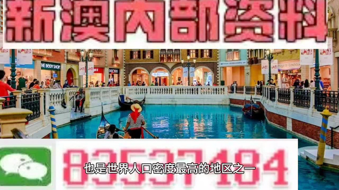 澳門王中王六碼新澳門，探索與解析，澳門王中王六碼新澳門，深度探索與解析