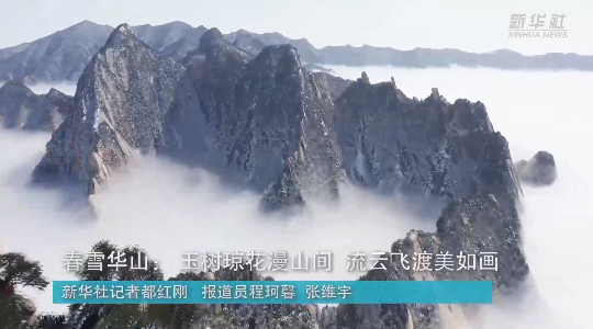 澳門最精準龍門，探索真正的精準之道，澳門最精準龍門，揭秘真正的精準之道
