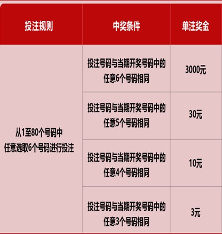 新澳門六開彩天天開獎(jiǎng)結(jié)果，揭秘彩票背后的秘密，揭秘新澳門六開彩天天開獎(jiǎng)背后的秘密