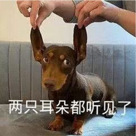 王中王四不象必中一肖，揭秘背后的秘密與策略，揭秘王中王四不象必中一肖背后的秘密與策略之道