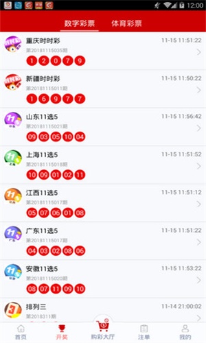 一碼一肖，揭秘背后的秘密與探索其獨特魅力，揭秘一碼一肖背后的秘密與獨特魅力探索