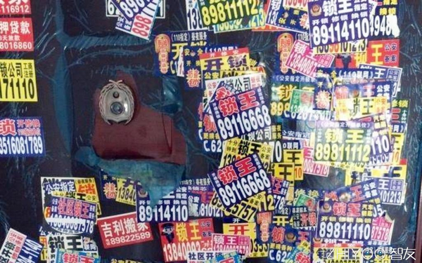 王中王206期指一生肖，深度解析與預(yù)測，王中王206期生肖深度解析與預(yù)測，揭秘生肖運勢走向