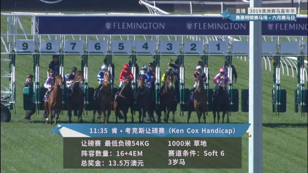 賽馬澳門六月開獎結(jié)果，探索與期待，澳門六月賽馬開獎揭曉，探索結(jié)果引期待