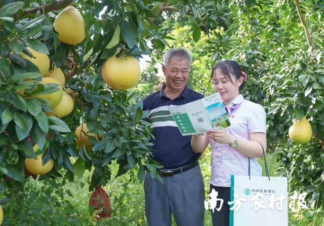 資料大全正版資料2025，一站式獲取所有你需要的信息，資料大全正版資料2025，一站式獲取所有信息總匯
