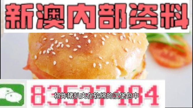 2025新澳正版資料精準(zhǔn)解析，2025新澳正版資料精準(zhǔn)解析手冊(cè)