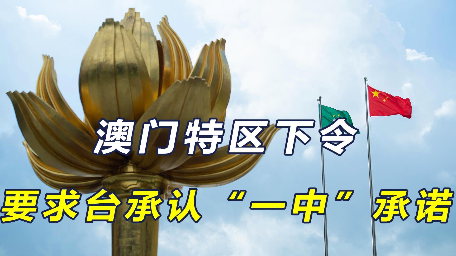 澳門一碼一肖一恃一中312期，揭秘與探索彩票文化背后的秘密，澳門彩票文化揭秘，一碼一肖背后的探索與奧秘