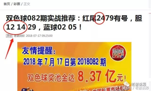 王中王082期指一生肖——探尋生肖魅力，洞悉運(yùn)勢奧秘，探尋生肖魅力，揭秘運(yùn)勢奧秘——王中王生肖運(yùn)勢解析 082期