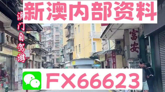 港澳免費精準資料大全——探索與發(fā)現(xiàn)，港澳免費精準資料大全，深度探索與發(fā)現(xiàn)之旅