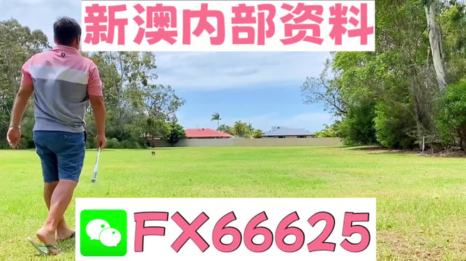 王中王一碼二肖，揭秘背后的秘密，揭秘王中王一碼二肖背后的秘密