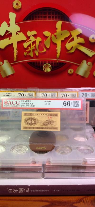 王中王平特一肖125，揭秘背后的故事與奧秘，揭秘王中王平特一肖背后的故事與奧秘 125號揭秘真相