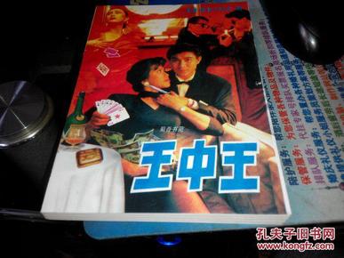 王中王資料一肖中特小說，深度解析與探索，王中王資料一肖中特小說的深度解析與探索之旅