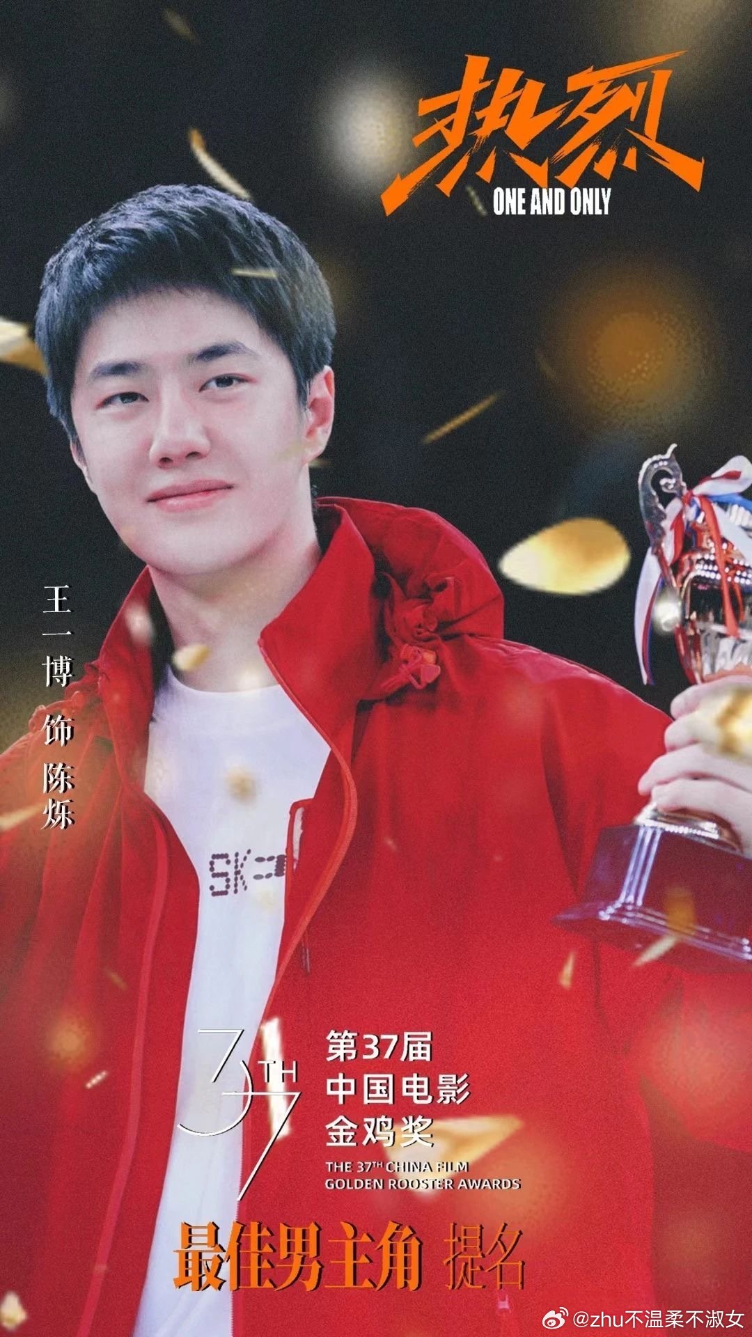 王中王一肖一特一中一中，探尋背后的故事與奧秘，探尋王中王一肖背后的故事與奧秘