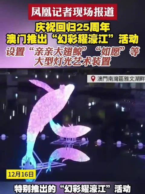 新澳門六開獎結(jié)果查詢濠江論壇——快速獲取開獎信息的首選平臺，澳門六開獎結(jié)果查詢首選平臺，濠江論壇快速更新開獎信息