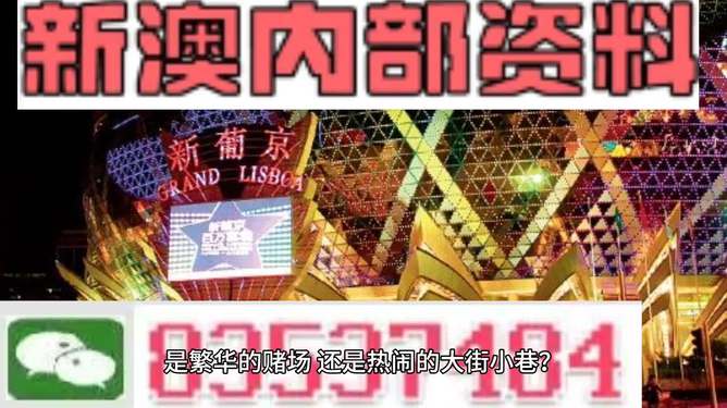 新澳門精準資料大全管家婆料，探索與解析，澳門精準資料大全解析，探索管家婆料內(nèi)幕