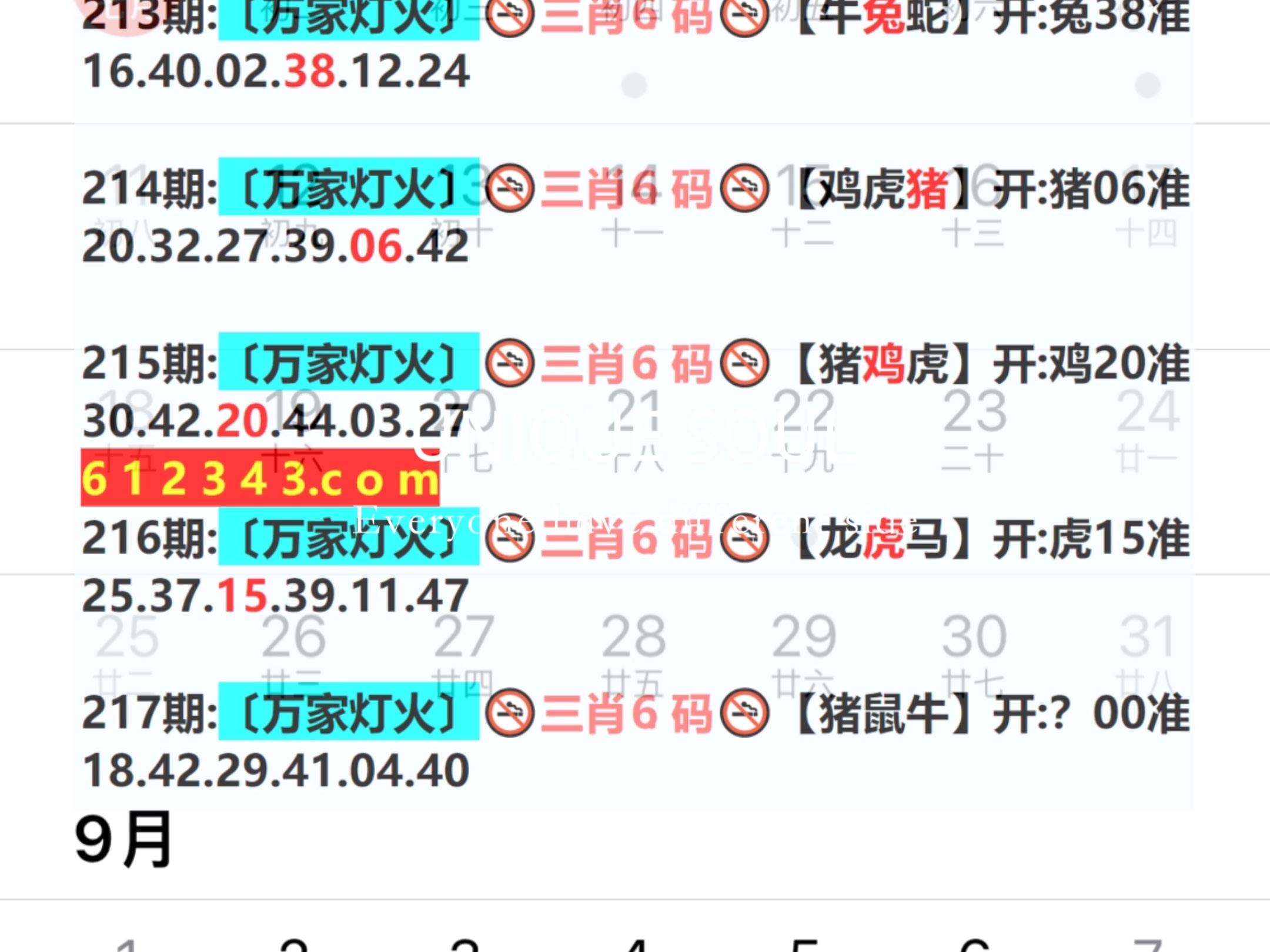 新奧今日六肖中特，揭秘背后的秘密與趨勢(shì)分析，揭秘新奧今日六肖中特背后的秘密與趨勢(shì)分析