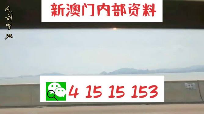 新澳2025最新資料生肖，深度解析與預測展望，新澳2025最新生肖資料深度解析與未來預測展望