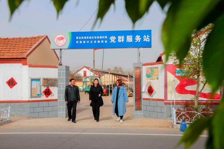 2025新澳天天開彩大全——衣冠群獸探秘，2025新澳天天開彩大全，衣冠群獸探秘之旅