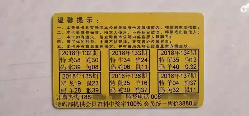 香港中特期期準(zhǔn)資料，深度解析與探索，香港中特期期準(zhǔn)資料深度解析與探索報告