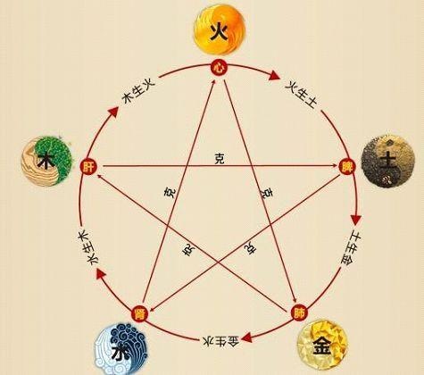 鐵算算盤4887最準資料，揭秘其背后的秘密與優(yōu)勢，揭秘鐵算算盤4887，最準資料背后的秘密與優(yōu)勢