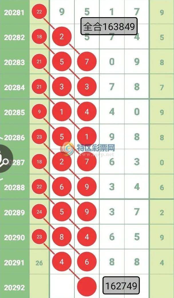 王中王彩票查詢精選號(hào)碼，探索彩票背后的秘密與策略，王中王彩票查詢，揭秘精選號(hào)碼背后的秘密與策略
