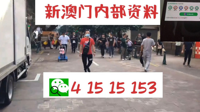澳門管家婆一馬一中一開，揭秘背后的秘密與策略，澳門管家婆一馬一中一開，揭秘背后的秘密與策略揭秘背后的秘密與策略